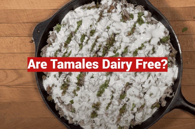 Are Tamales Dairy Free?