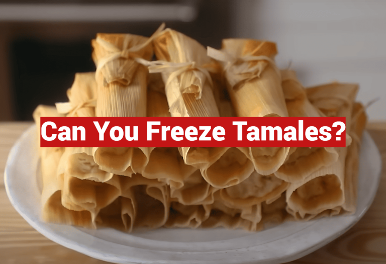 Can You Freeze Tamales?