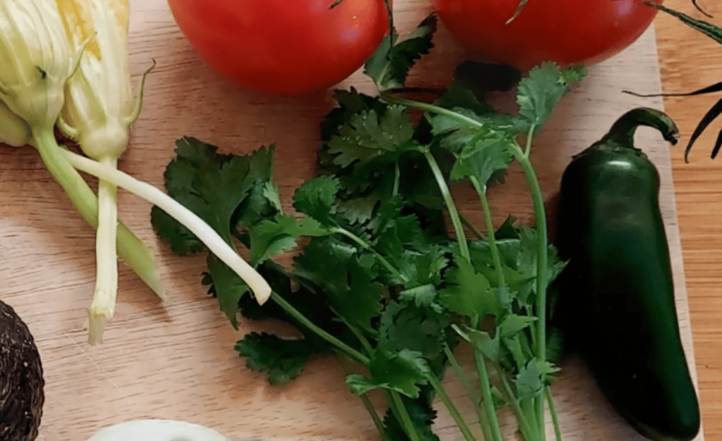 Discovering Tamales: History and Cultural Roots