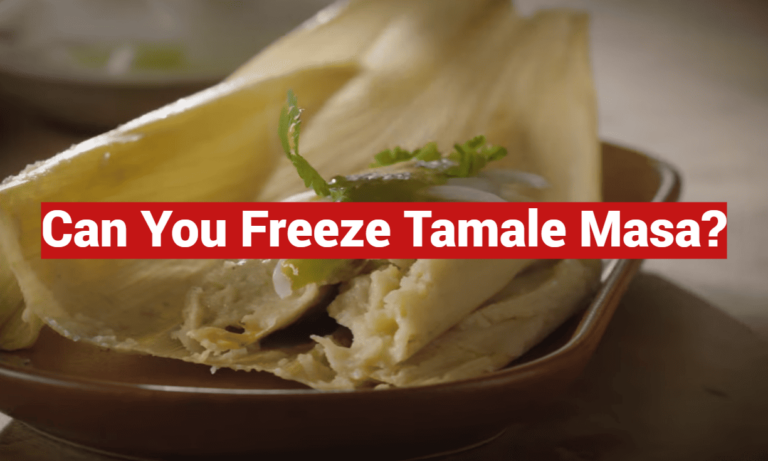 Can You Freeze Tamale Masa?