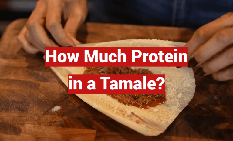 How Much Protein in a Tamale?