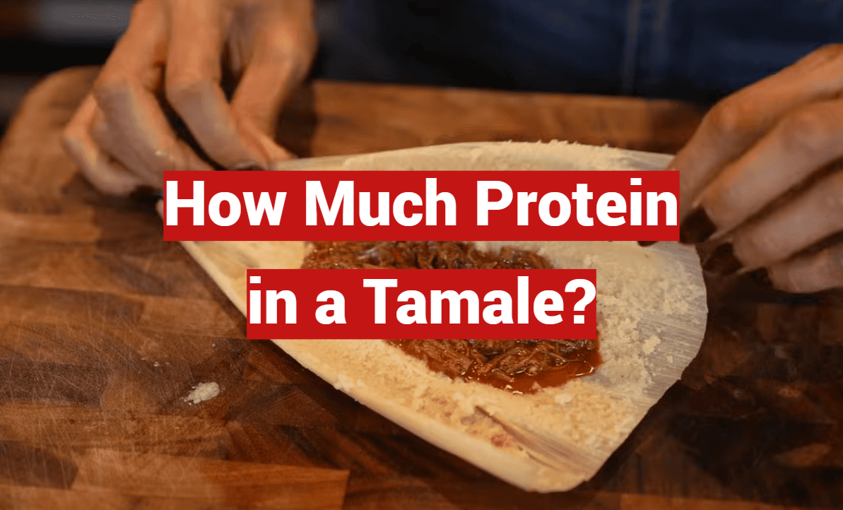 How Much Protein in a Tamale?