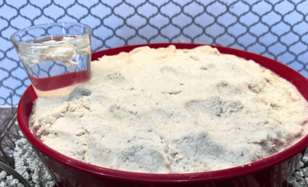Key Ingredients for Authentic Tamale Dough