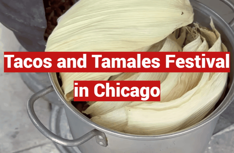 Tacos and Tamales Festival in Chicago