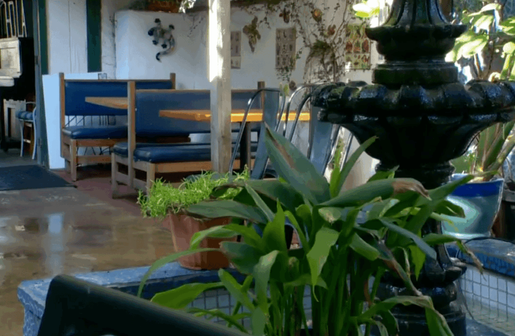 Ambiance, Decor, and Outdoor Seating
