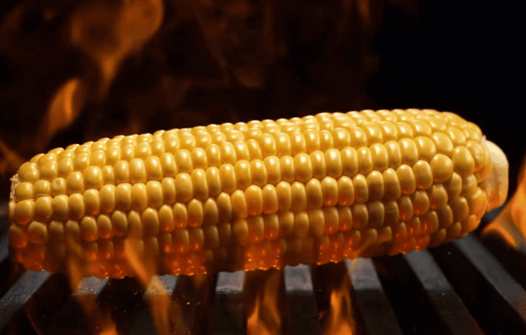 Understanding Tamale Ingredients and Their Effects on Dogs
